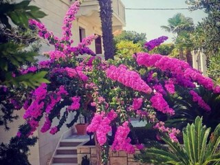 Appartement Supetar Buitenaudio-opname 7