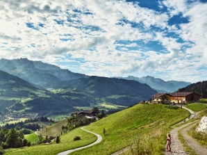 Vakantieappartement Alpenglühn am Bichlgut - Bischofshofen - image1