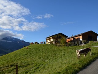 Vakantieappartement Bischofshofen Buitenaudio-opname 4