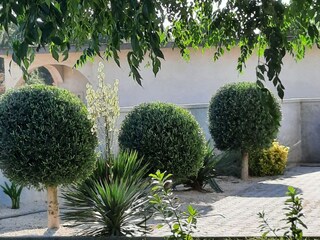 Apartment Vrsi Außenaufnahme 7