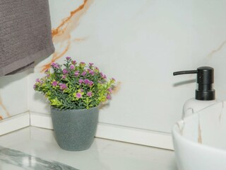 Appartement Rogotin Kenmerken 4