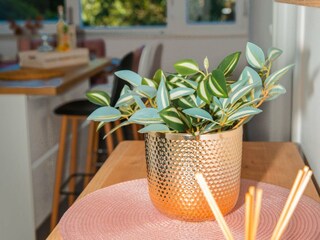 Appartamento Rogotin  57