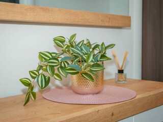 Appartement Rogotin  51