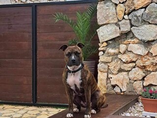 Villa Raštane gornje Buitenaudio-opname 3