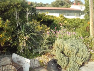 Apartment Supetarska Draga Outdoor Recording 4