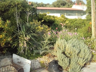 Apartment Supetarska Draga Außenaufnahme 9