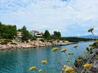 Apartment Basina  39