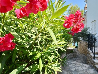 Appartamento Basina Registrazione all'aperto 12