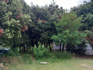Apartment Rab (Stadt) Außenaufnahme 6