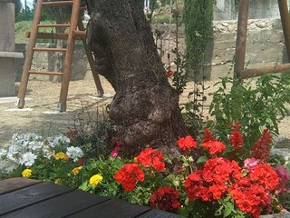 Apartment Lopar Außenaufnahme 1