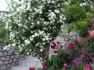 Apartamento Senj  13