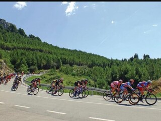 Appartamento Makarska  15