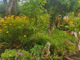 Apartamento Novi Vinodolski Grabación al aire libre 2