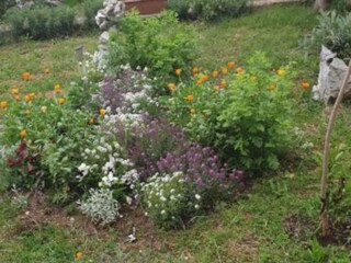 Apartamento Novi Vinodolski Grabación al aire libre 3