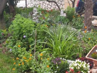 Apartamento Novi Vinodolski Grabación al aire libre 4