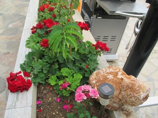 Villa Nemira Außenaufnahme 2