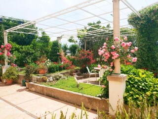 Appartement Mlini Buitenaudio-opname 7