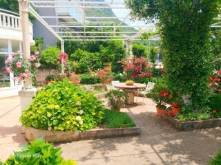 Appartamento Mlini Registrazione all'aperto 8