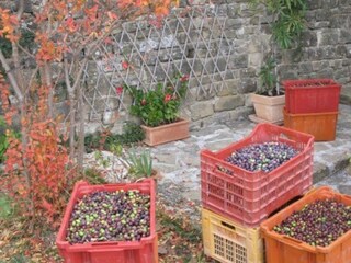 Casa per le vacanze Groznjan Registrazione all'aperto 7