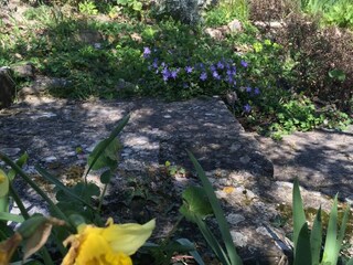 Holiday house Groznjan Outdoor Recording 24