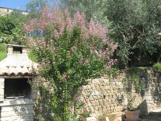 Casa per le vacanze Groznjan Registrazione all'aperto 19