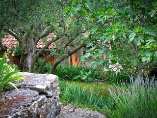 Casa de vacaciones Groznjan Grabación al aire libre 12