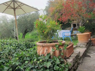 Holiday house Groznjan Outdoor Recording 16