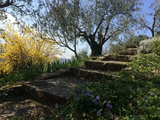 Vakantiehuis Groznjan Buitenaudio-opname 2