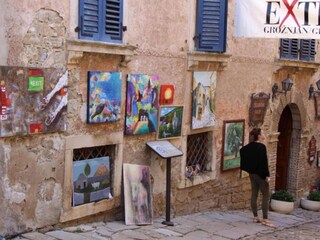 Casa per le vacanze Groznjan Registrazione all'aperto 21