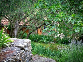 Ferienhaus Groznjan Außenaufnahme 26