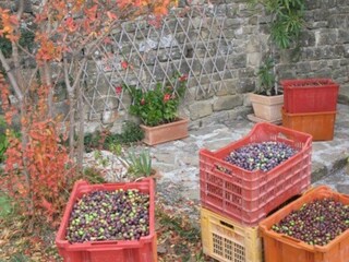 Holiday house Groznjan Outdoor Recording 22