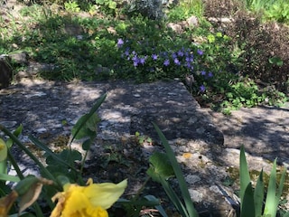 Maison de vacances Groznjan Enregistrement extérieur 10