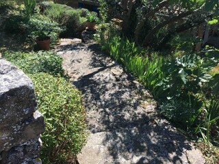 Casa de vacaciones Groznjan Grabación al aire libre 32