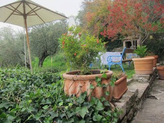 Ferienhaus Groznjan Außenaufnahme 18