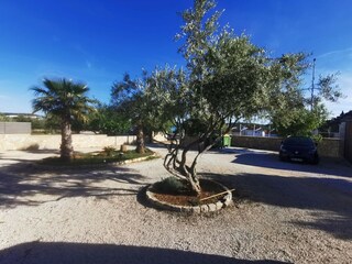 Roulotte Pirovac Enregistrement extérieur 3