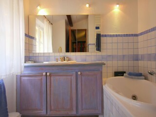 Type de propriété : Chalet Fayence Équipement 39