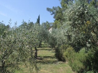 Vakantiehuisje Fayence Buitenaudio-opname 21