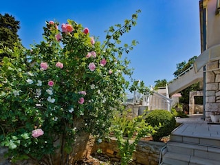 Apartment Hvar (Stadt) Außenaufnahme 7