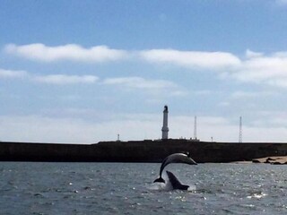 Appartamento Aberdeen Ambiente 17