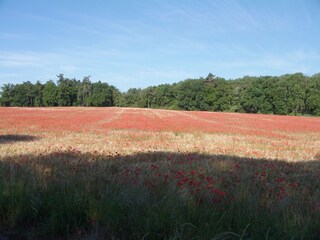 Umgebung Groß Gievitz Sorgenlos