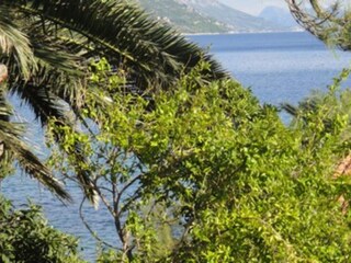 Apartment Orebic Außenaufnahme 1