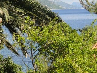 Appartamento Orebic Registrazione all'aperto 2