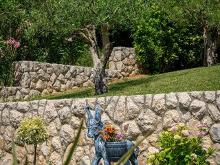 Villa Gruda Grabación al aire libre 7