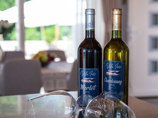 Villa Gruda Buitenaudio-opname 17