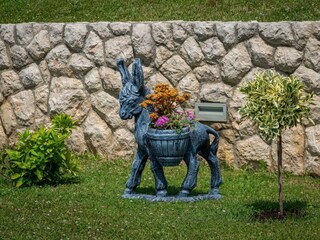 Villa Gruda Grabación al aire libre 1