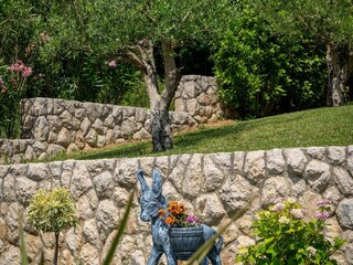 Villa Gruda Outdoor Recording 6