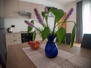 Apartment Kastel Kambelovac Ausstattung 11