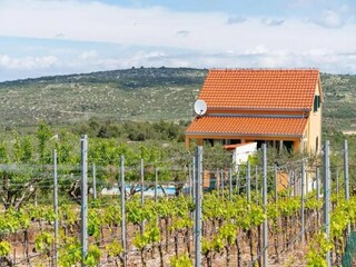 Villa Nerežišća Buitenaudio-opname 4