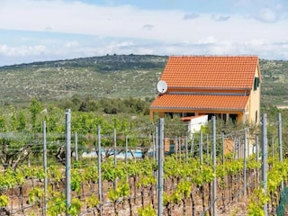 Villa Nerežišća Außenaufnahme 2