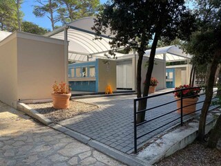 Caravan Biograd  26
